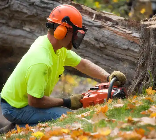 tree services Osage Beach